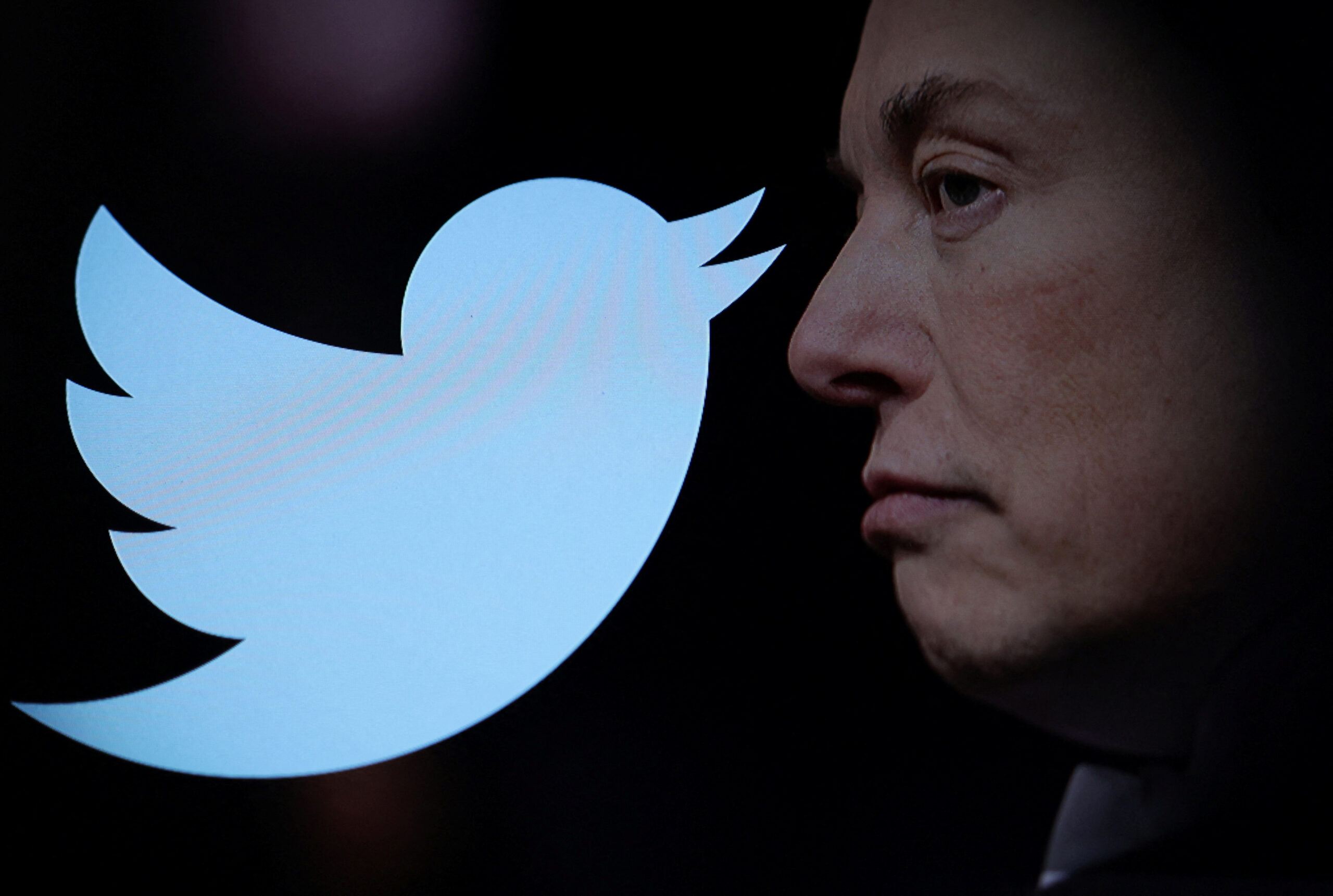 Elon Musk non esclude il fallimento di Twitter, appena due settimane dopo aver acquistato l’azienda per 44 miliardi di dollari