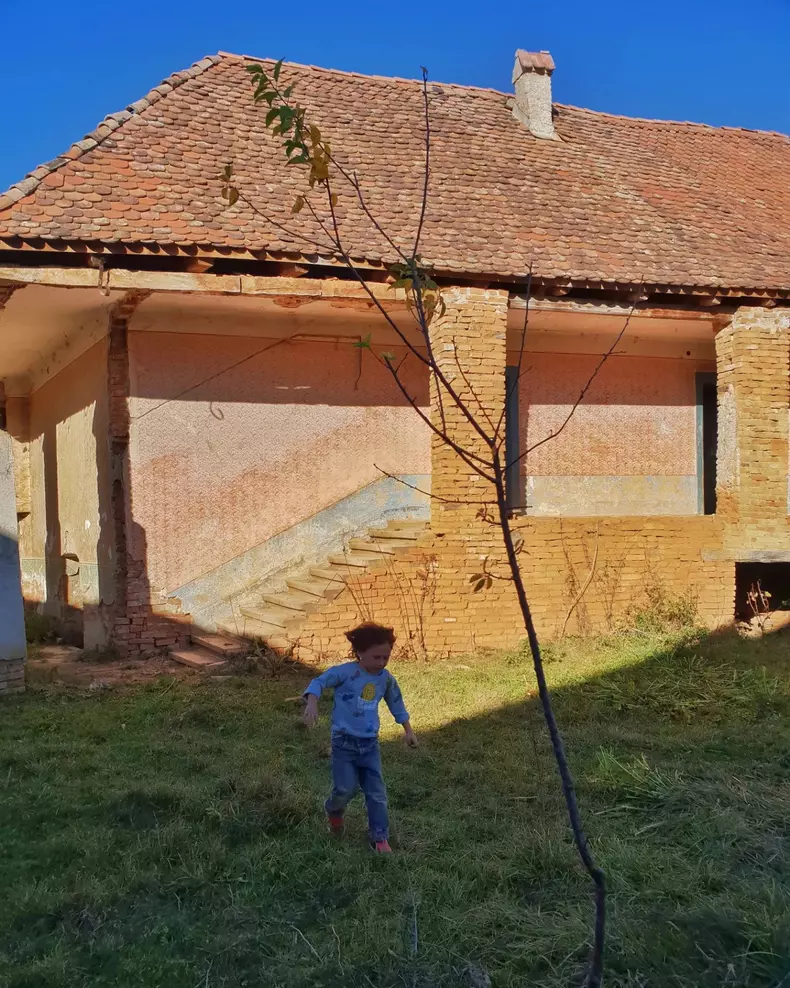 Cum arată locuința din Viscri pe care Dana Rogoz o renovează alături de familie. Proprietatea săsească prinde contur pe zi ce trece