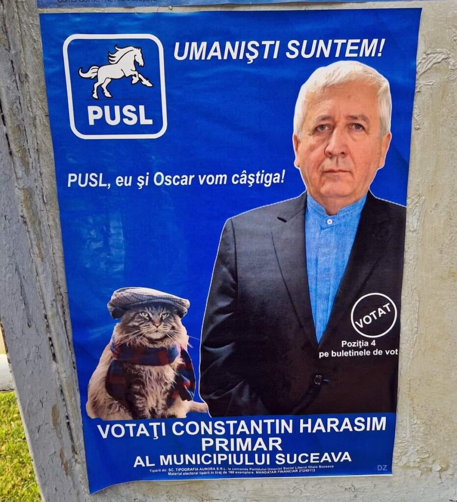 Afiș electoral în Suceava