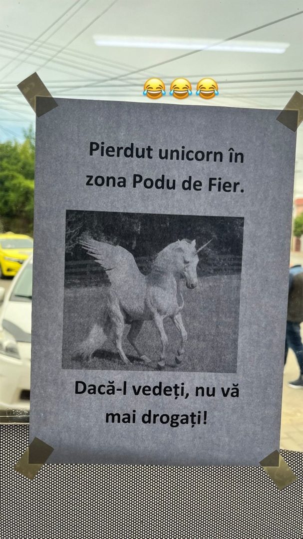 Anunț inedit pe străzile din Iași: „Pierdut unicorn în zona Podu de fier”. Ce trebuie să facă oamenii dacă îl văd