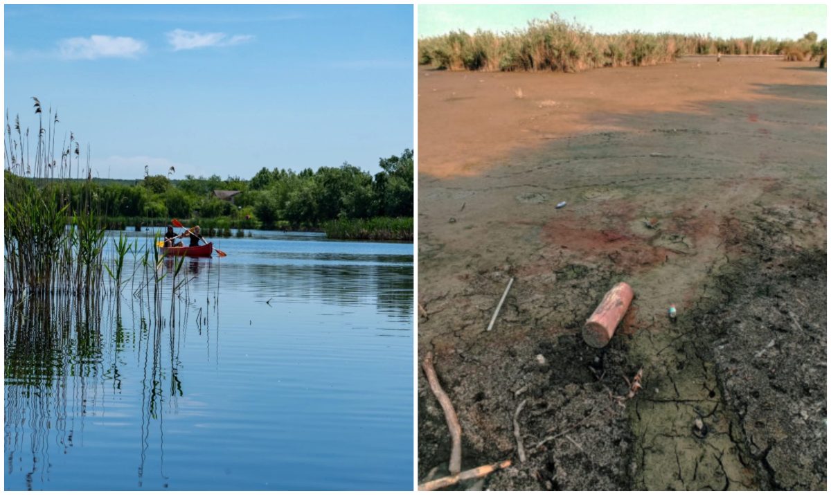 Arșița a secat lacul Comana de lângă București. Efectele încălzirii globale sunt devastatoare