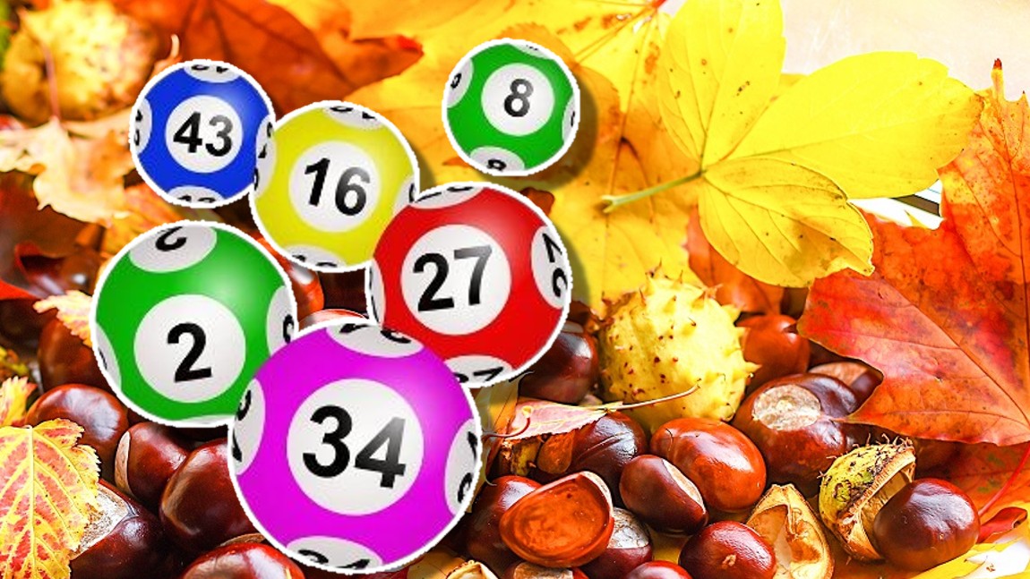 Rezultate Loto 6 octombrie 2024. Numere Loto 6/49, Joker şi Noroc