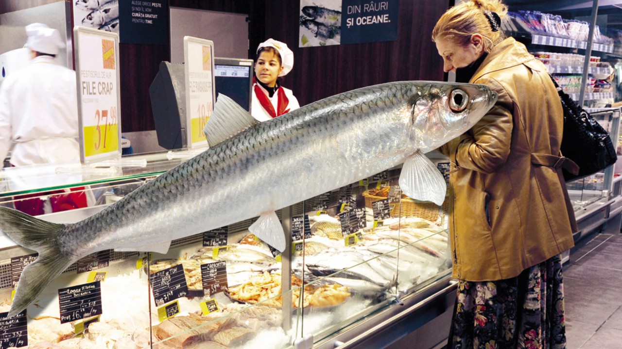 Discover the Affordable Fish Packed with Vitamin D, Now Available in All Romanian Stores