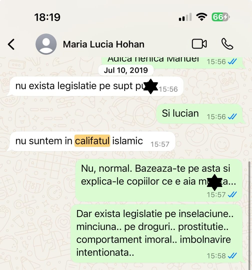 Schimb dur de mesaje între Maria Lucia Hohan și Adrian Stănescu (Sursă: dosar)